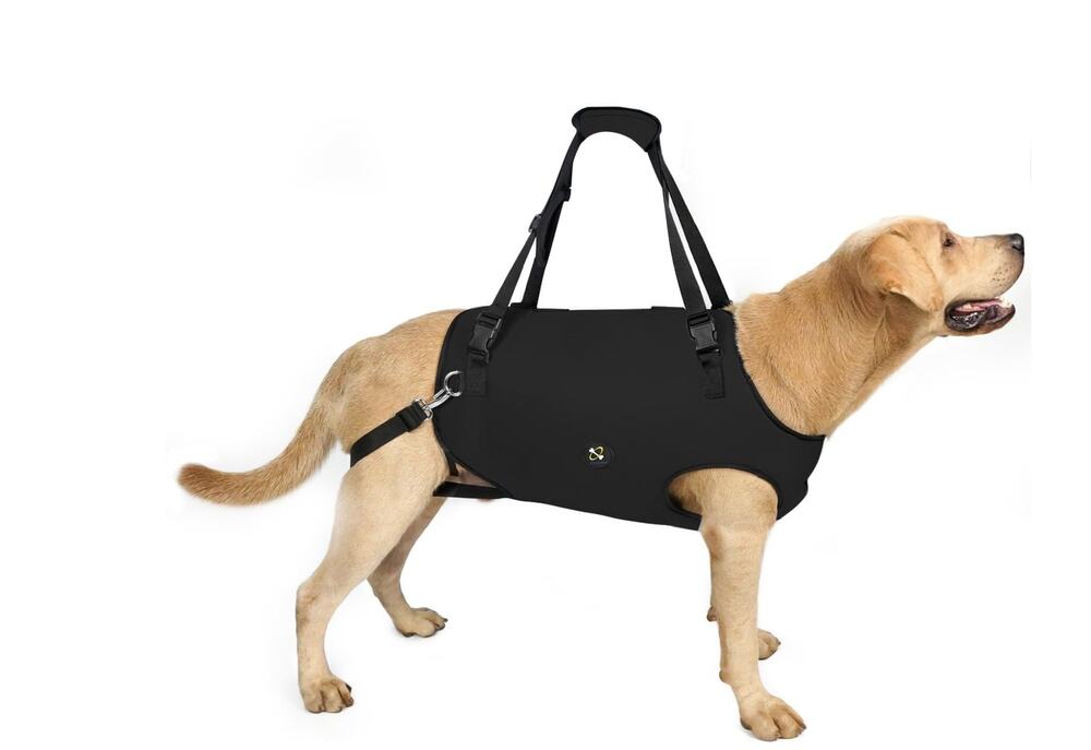 Coodeo Dog Lift Harness Black Size Medium 35-45 Lbs Pet Support & Rehabilitation